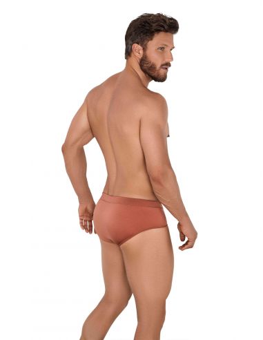 OASIS SWIMSUIT BRIEF - Clever
