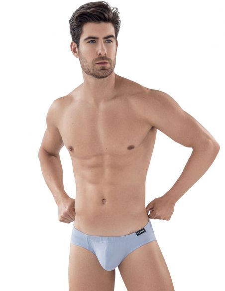 CLEVER LATIN BRIEF - Clever