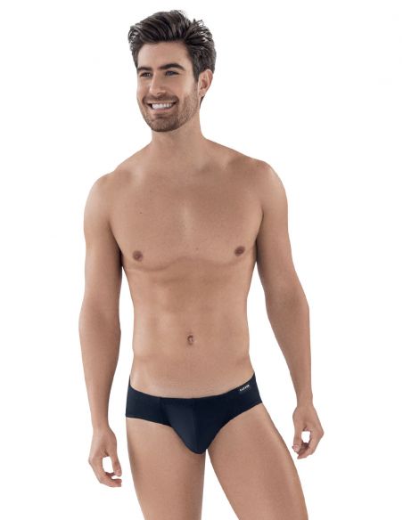 CLEVER LATIN BRIEF - Clever