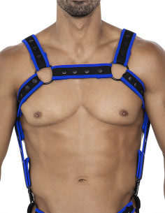 NEO HARNESS - H4RNESS - C4M 2