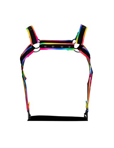 NEO HARNESS - H4RNESS - C4M