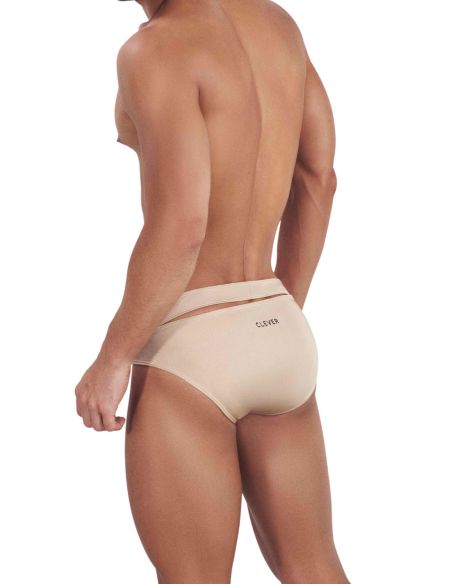 Flashing Brief - Clever