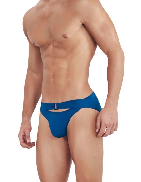 Flashing Brief - Clever