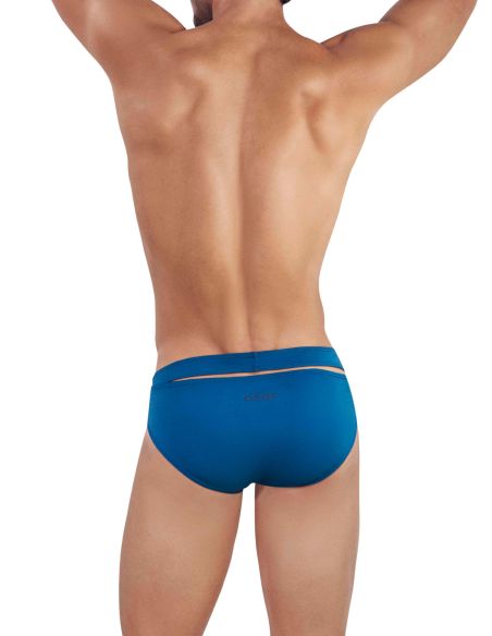 Flashing Brief - Clever