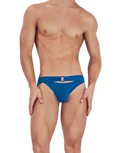 Flashing Brief - Clever