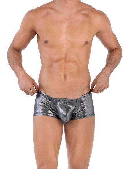 Chakra Latin Boxer - Clever