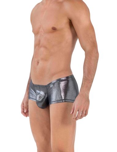 Chakra Latin Boxer - Clever