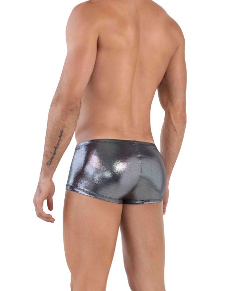 Chakra Latin Boxer - Clever