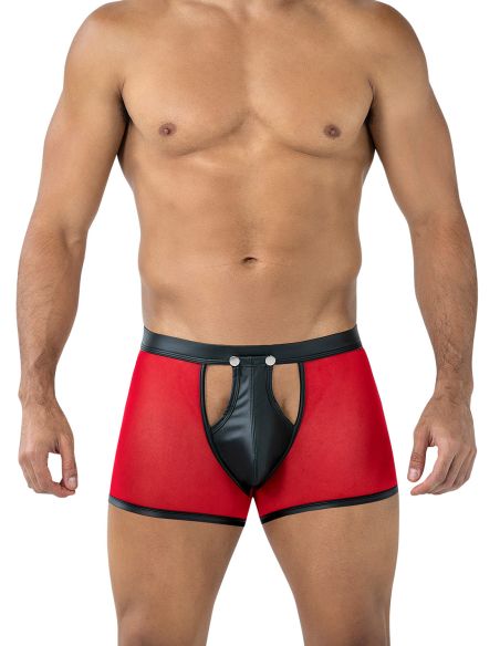 Black Sheer Boxer (Black / Red)