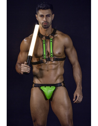 4WAY HARNESS - H4RNESS - C4M