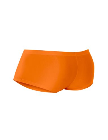 Hipster Brief - SP4NDEX - C4M
